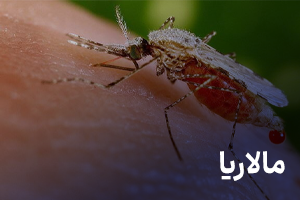 مالاریا چیست؟